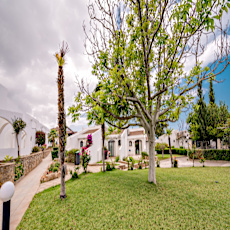 The Olive Tree Hotel